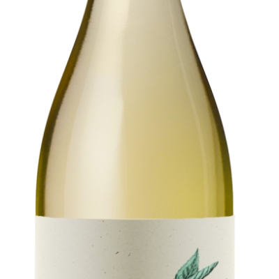 trebbiano d'abruzzo nuovo
